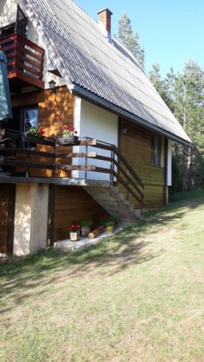 vila Borova glava